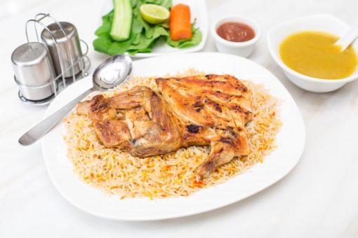مظبي دجاج